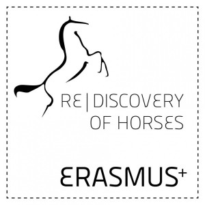 re-discovery of horse_logo