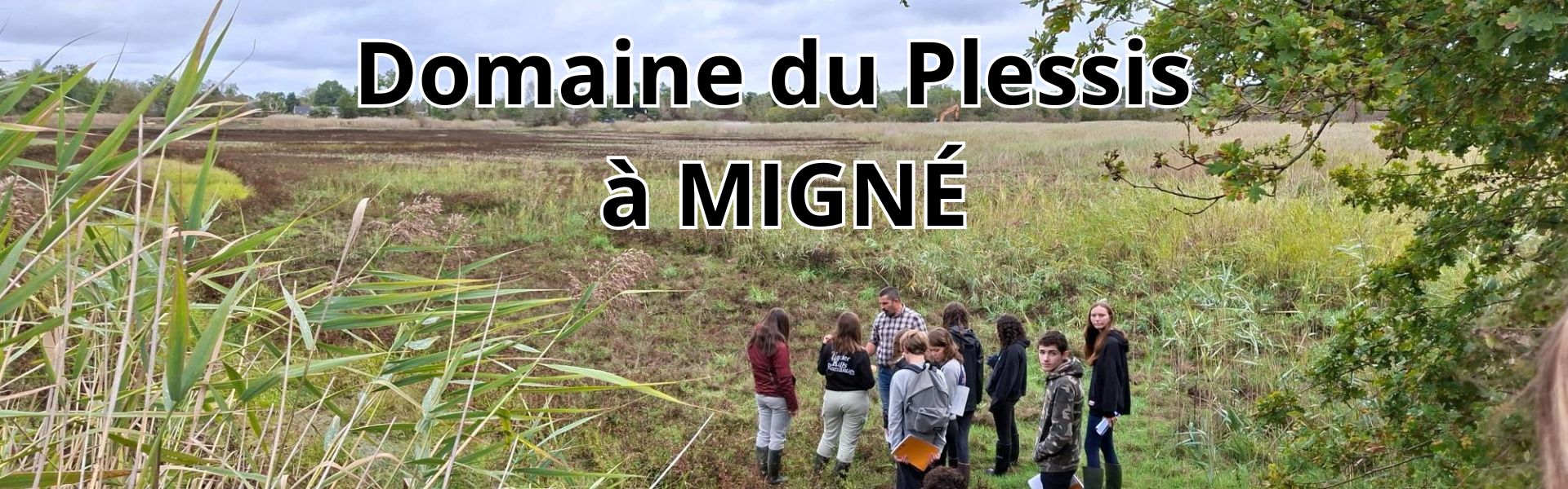 Image mise en avant