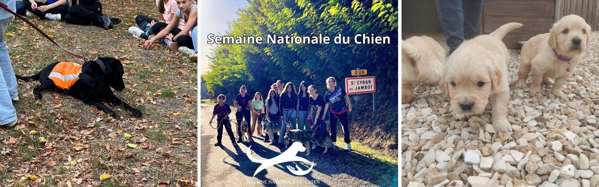 Image mise en avant